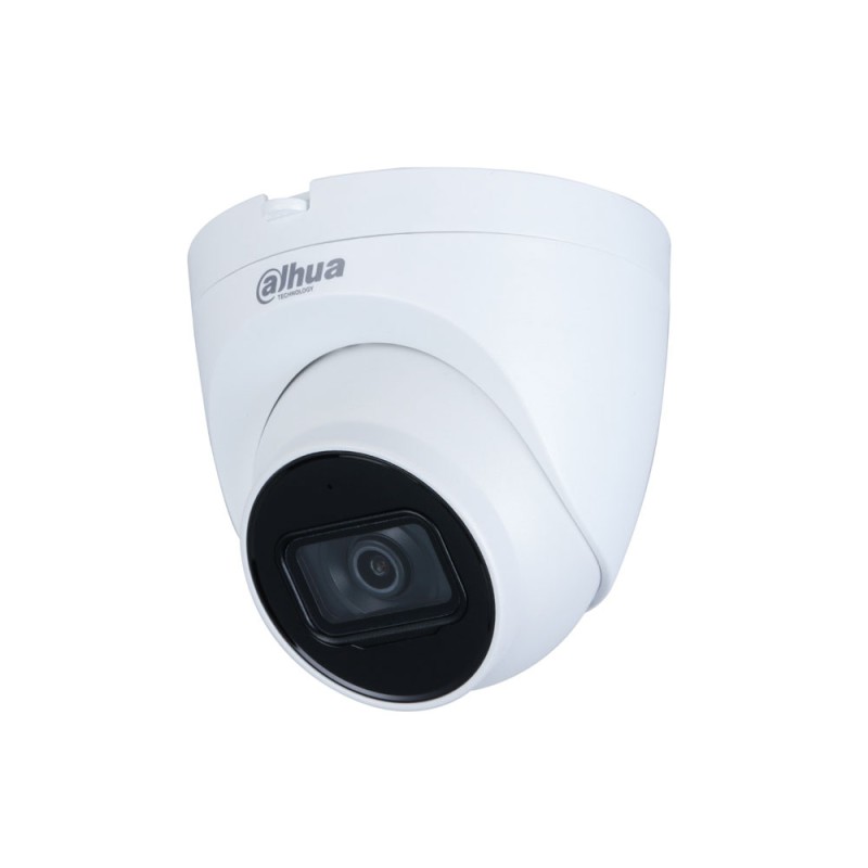 Caméra de surveillance IP dôme Dahua 2MP extérieur
