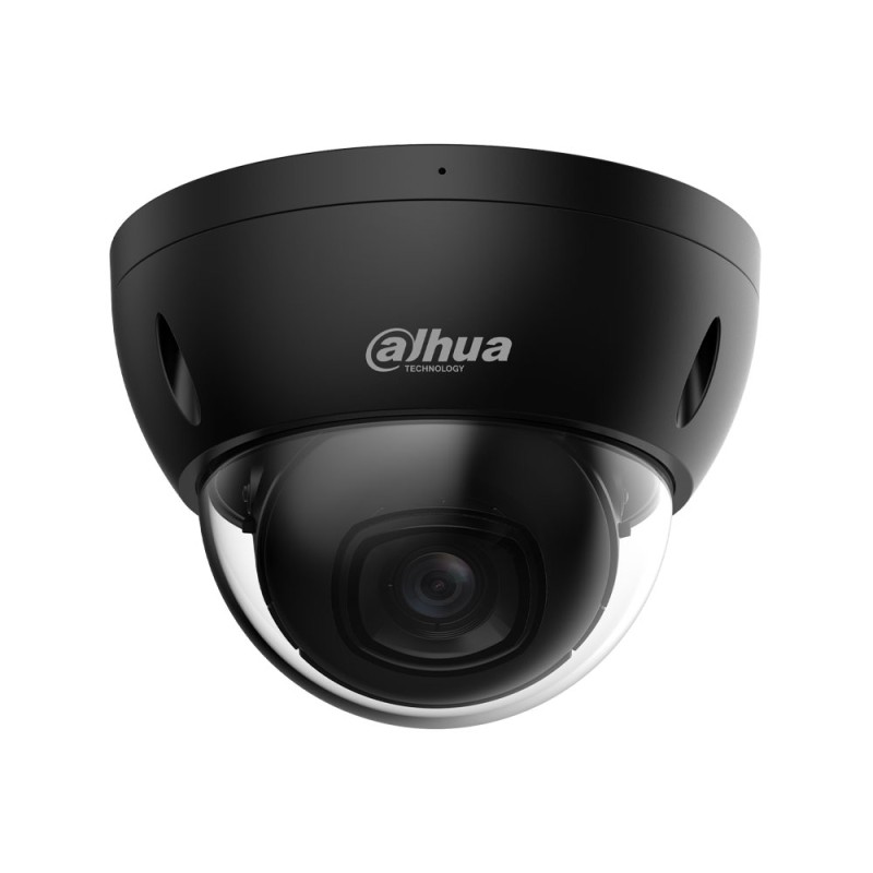 Caméra de surveillance IP dôme extérieur WizSense 4MP