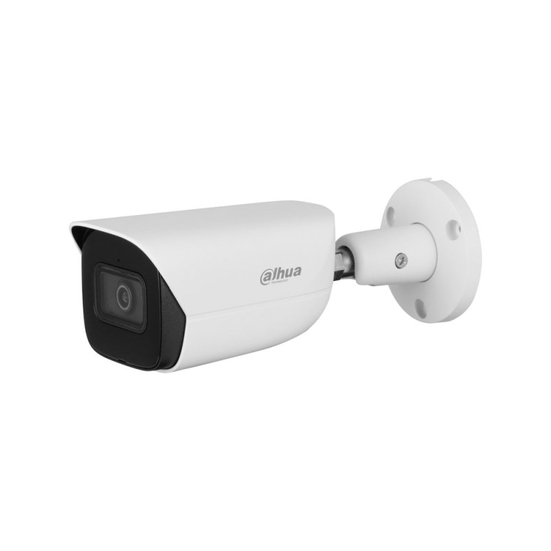 Caméra de vidéo-surveillance IP extérieure WizMind 2MP