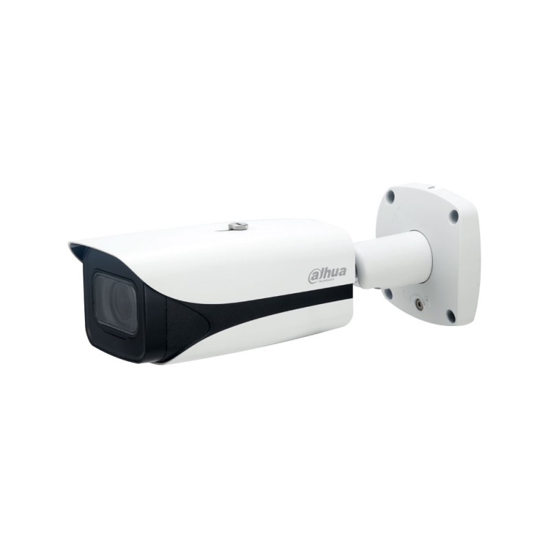Caméra de vidéo-surveillance IP extérieure WizMind 4MP