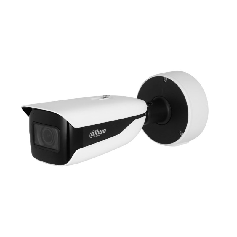 Caméra de vidéo-surveillance IP extérieure WizMind 4MP