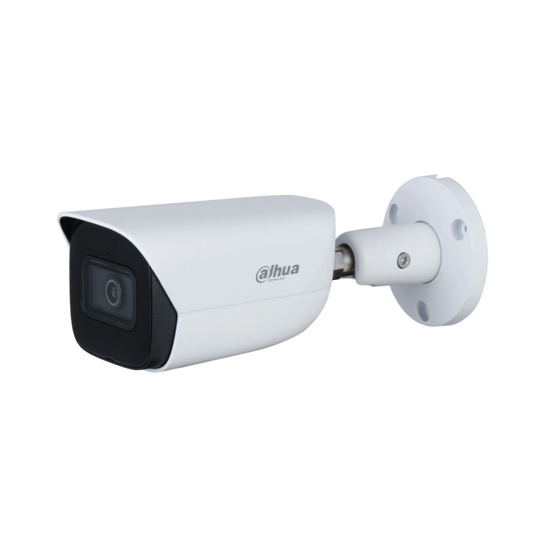 Caméra de vidéo-surveillance IP extérieure WizMind 8MP