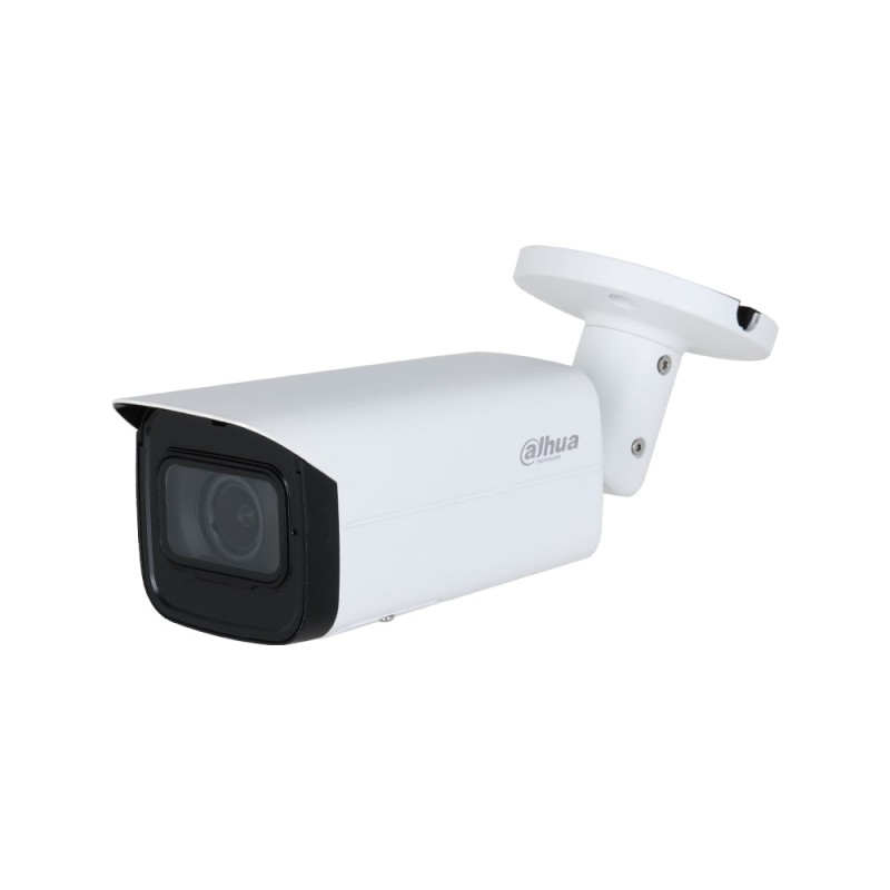 Caméra de vidéo-surveillance IP extérieure WizSense 4MP