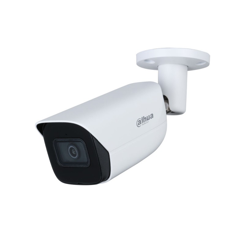 Caméra de vidéo-surveillance IP extérieure WizSense 4MP