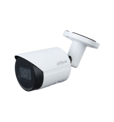 Caméra de vidéo-surveillance IP extérieure WizSense 8MP