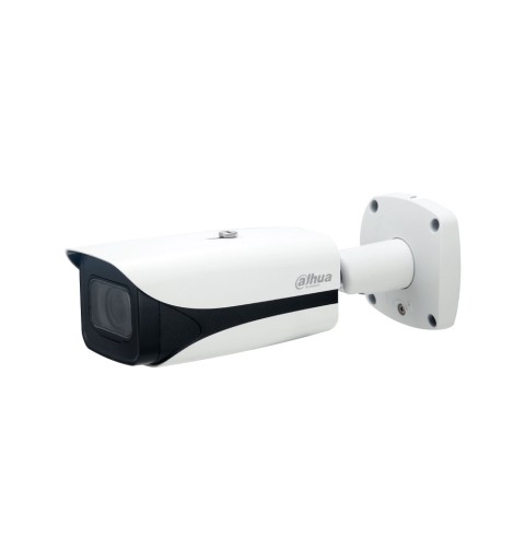 Caméra IP extérieure WizMind 4MP