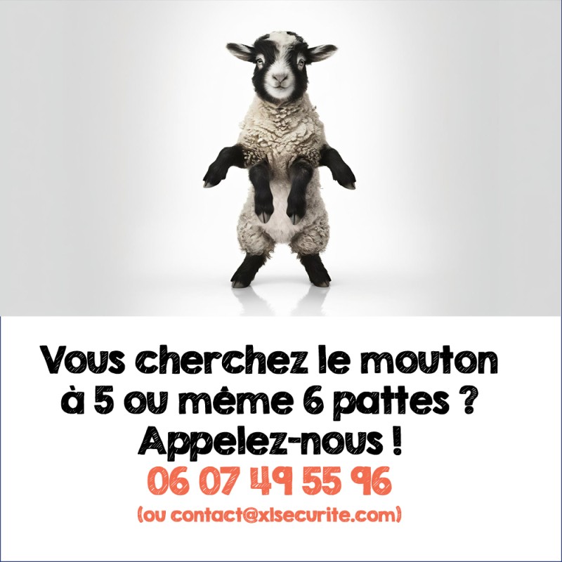 Le mouton à 5 pattes existe !